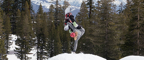 AIRBLASTER｜スノーボード GOLGODA ゴルゴダ