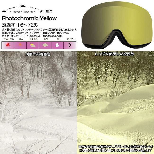 スペアーレンズ ドラゴン ゴーグル DRAGON PXV LUMA PHOTOCHROMIC LENS