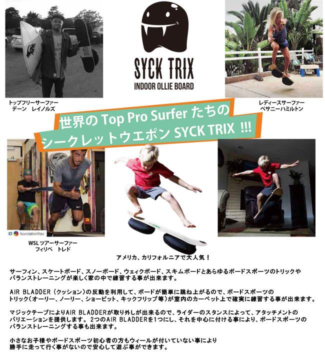 オーリー練習 バランストレーニング スケートボード SYCK TRIX シック